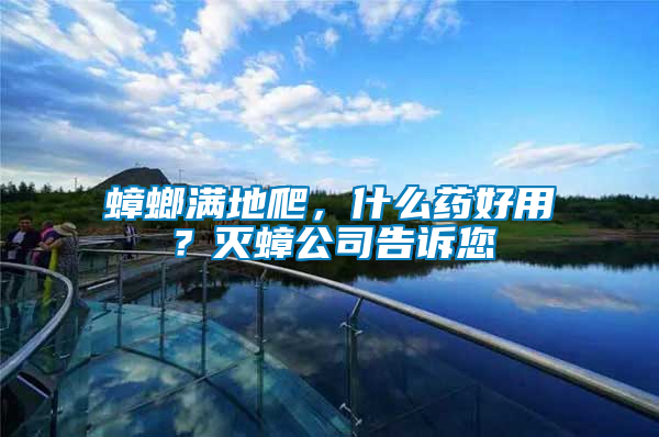 蟑螂滿地爬，什么藥好用？滅蟑公司告訴您