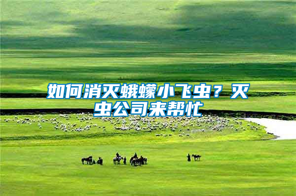 如何消滅蛾蠓小飛蟲？滅蟲公司來幫忙