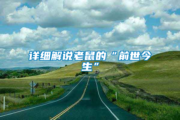 詳細(xì)解說(shuō)老鼠的“前世今生”