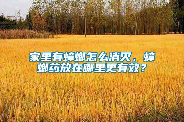 家里有蟑螂怎么消滅，蟑螂藥放在哪里更有效？