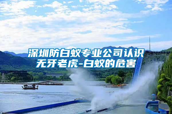 深圳防白蟻專業(yè)公司認(rèn)識(shí)無(wú)牙老虎-白蟻的危害