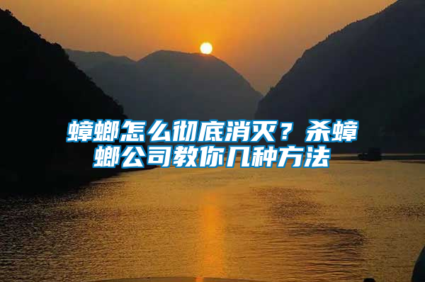 蟑螂怎么徹底消滅？殺蟑螂公司教你幾種方法