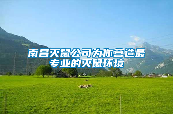 南昌滅鼠公司為你營(yíng)造最專(zhuān)業(yè)的滅鼠環(huán)境