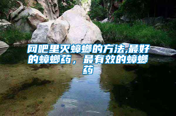 網(wǎng)吧里滅蟑螂的方法,最好的蟑螂藥，最有效的蟑螂藥