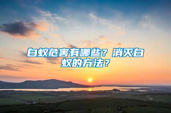 白蟻危害有哪些？消滅白蟻的方法？