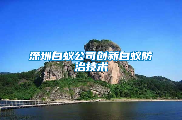 深圳白蟻公司創(chuàng)新白蟻防治技術