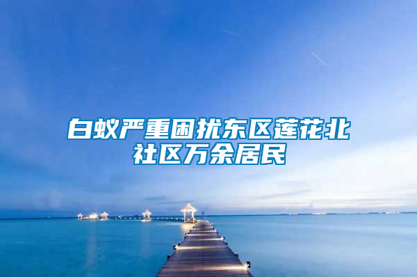 白蟻嚴重困擾東區(qū)蓮花北社區(qū)萬余居民
