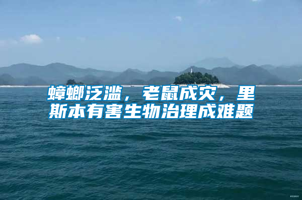 蟑螂泛濫，老鼠成災(zāi)，里斯本有害生物治理成難題