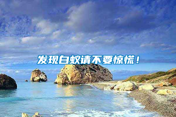 發(fā)現(xiàn)白蟻請不要驚慌！