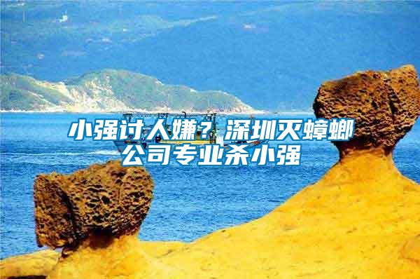 小強(qiáng)討人嫌？深圳滅蟑螂公司專業(yè)殺小強(qiáng)