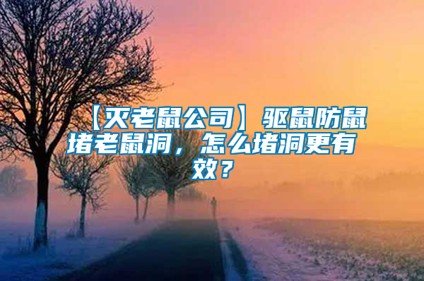 【滅老鼠公司】驅(qū)鼠防鼠堵老鼠洞，怎么堵洞更有效？