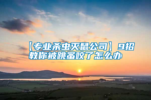 【專(zhuān)業(yè)殺蟲(chóng)滅鼠公司】9招教你被跳蚤咬了怎么辦