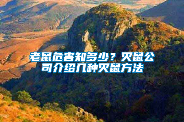 老鼠危害知多少？滅鼠公司介紹幾種滅鼠方法