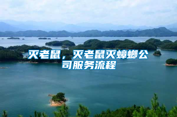 滅老鼠，滅老鼠滅蟑螂公司服務流程