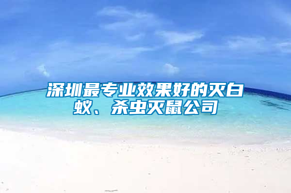 深圳最專業(yè)效果好的滅白蟻、殺蟲滅鼠公司