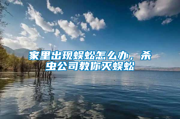 家里出現(xiàn)蜈蚣怎么辦，殺蟲公司教你滅蜈蚣