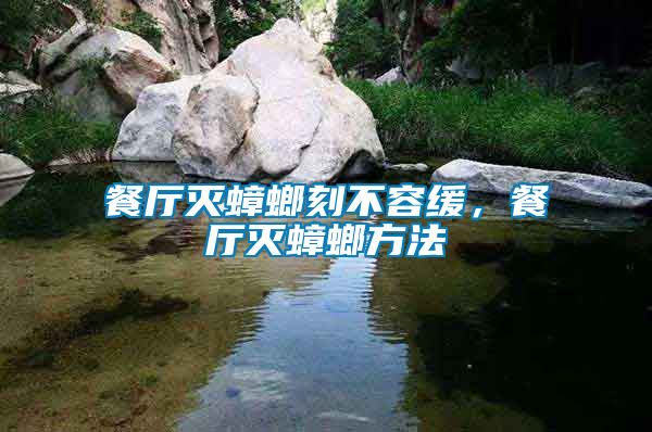 餐廳滅蟑螂刻不容緩，餐廳滅蟑螂方法