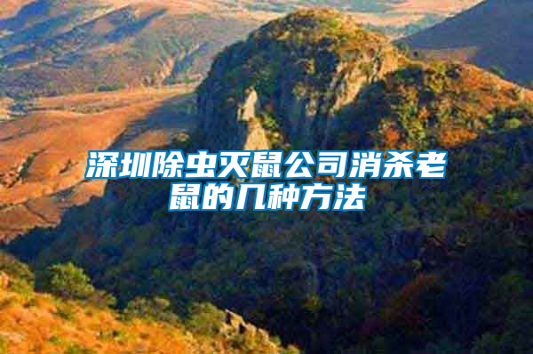 深圳除蟲(chóng)滅鼠公司消殺老鼠的幾種方法
