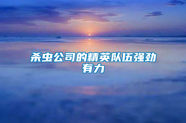 殺蟲公司的精英隊伍強(qiáng)勁有力