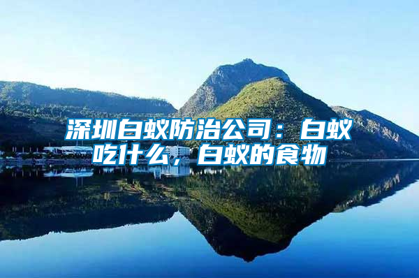 深圳白蟻防治公司：白蟻吃什么，白蟻的食物