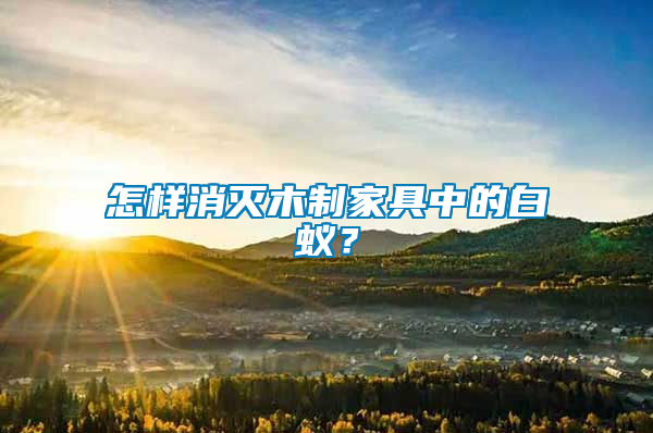 怎樣消滅木制家具中的白蟻？