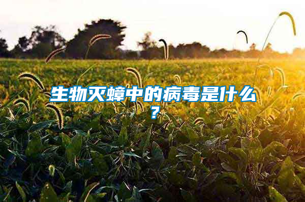 生物滅蟑中的病毒是什么？