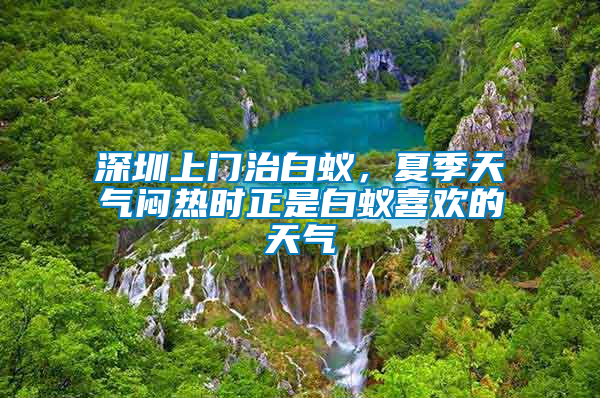 深圳上門治白蟻，夏季天氣悶熱時(shí)正是白蟻喜歡的天氣