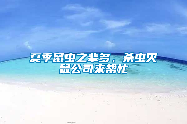 夏季鼠蟲之輩多，殺蟲滅鼠公司來幫忙