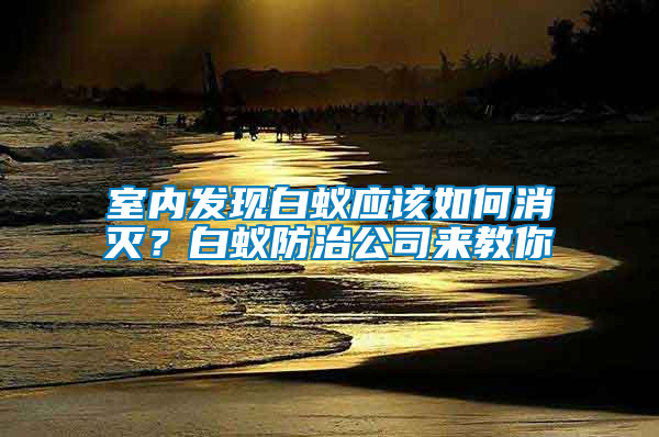 室內(nèi)發(fā)現(xiàn)白蟻應(yīng)該如何消滅？白蟻防治公司來教你