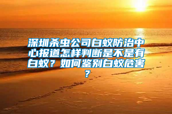 深圳殺蟲公司白蟻防治中心報道怎樣判斷是不是有白蟻？如何鑒別白蟻危害？