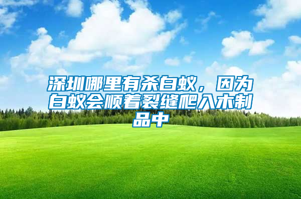 深圳哪里有殺白蟻，因為白蟻會順著裂縫爬入木制品中