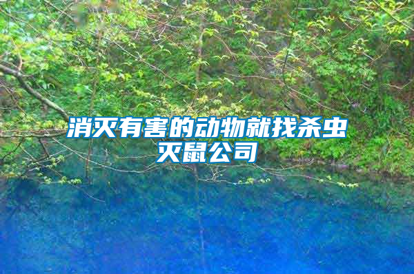 消滅有害的動(dòng)物就找殺蟲(chóng)滅鼠公司