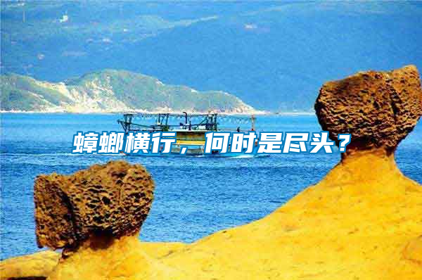 蟑螂橫行，何時是盡頭？