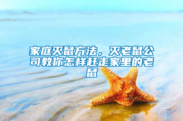 家庭滅鼠方法，滅老鼠公司教你怎樣趕走家里的老鼠