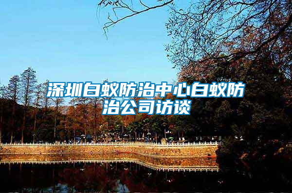深圳白蟻防治中心白蟻防治公司訪(fǎng)談