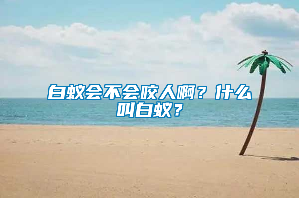 白蟻會(huì)不會(huì)咬人??？什么叫白蟻？
