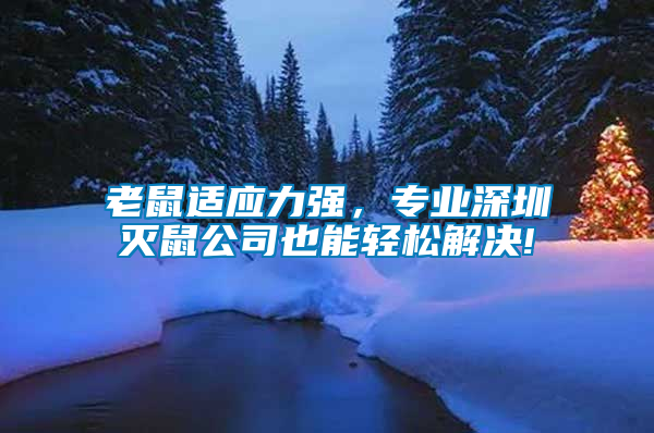 老鼠適應(yīng)力強(qiáng)，專業(yè)深圳滅鼠公司也能輕松解決!
