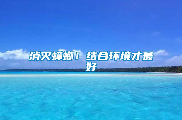 消滅蟑螂！結(jié)合環(huán)境才最好