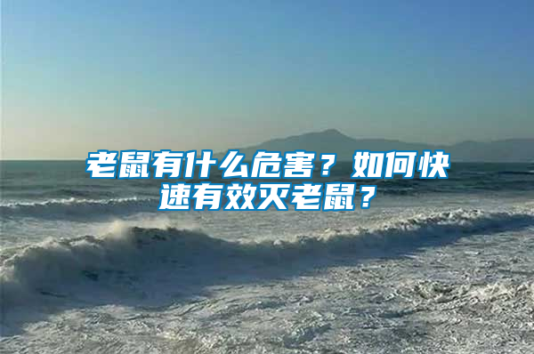 老鼠有什么危害？如何快速有效滅老鼠？