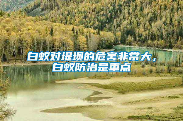白蟻對(duì)堤壩的危害非常大，白蟻防治是重點(diǎn)