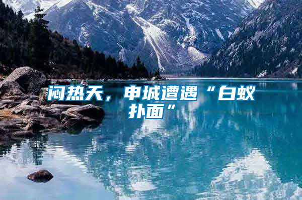 悶熱天，申城遭遇“白蟻撲面”