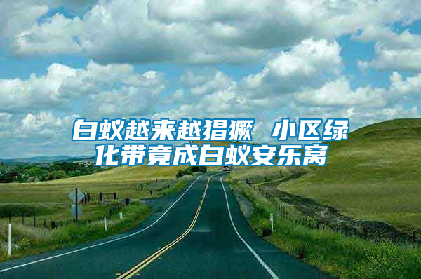 白蟻越來(lái)越猖獗 小區(qū)綠化帶竟成白蟻安樂(lè)窩