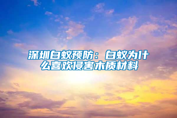 深圳白蟻預防：白蟻為什么喜歡侵害木質材料