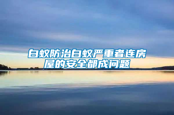 白蟻防治白蟻嚴(yán)重者連房屋的安全都成問題