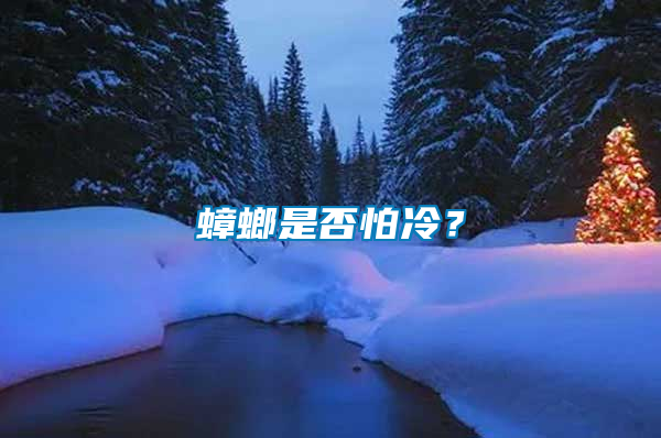 蟑螂是否怕冷？
