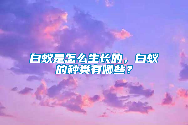 白蟻是怎么生長的，白蟻的種類有哪些？