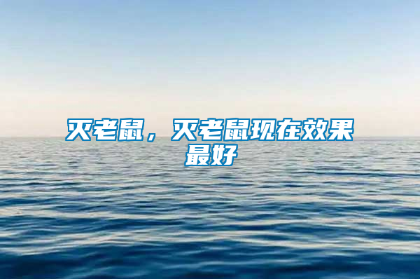 滅老鼠，滅老鼠現(xiàn)在效果最好