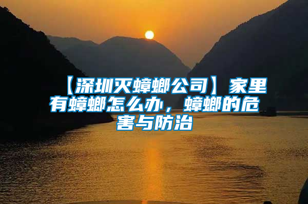【深圳滅蟑螂公司】家里有蟑螂怎么辦，蟑螂的危害與防治