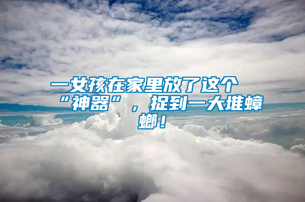 一女孩在家里放了這個“神器”，捉到一大堆蟑螂！