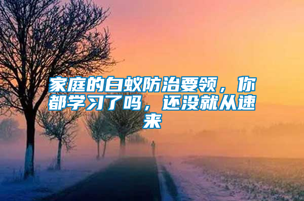 家庭的白蟻防治要領(lǐng)，你都學(xué)習(xí)了嗎，還沒(méi)就從速來(lái)